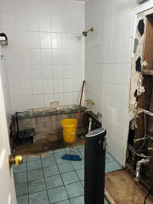 Bathroom gut demolition before repair
